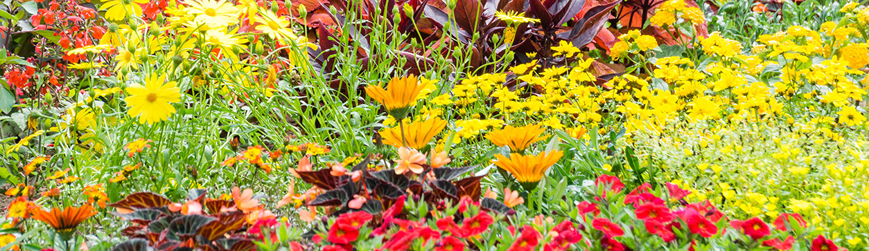 Gartenarbeiten Im April